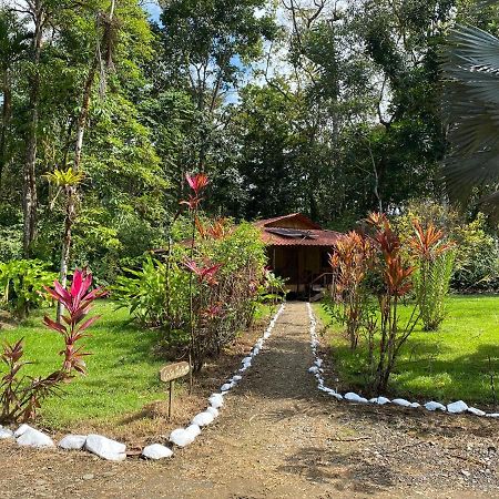 Sabalo Lodge Tours And Cabins Sierpe Εξωτερικό φωτογραφία
