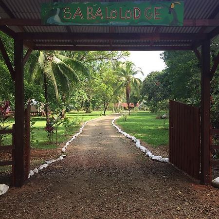 Sabalo Lodge Tours And Cabins Sierpe Εξωτερικό φωτογραφία