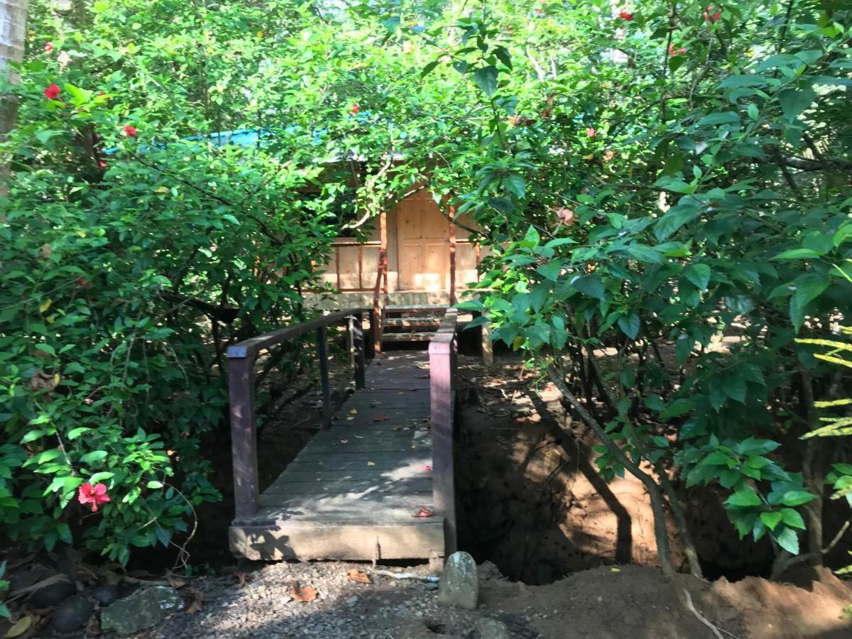 Sabalo Lodge Tours And Cabins Sierpe Εξωτερικό φωτογραφία