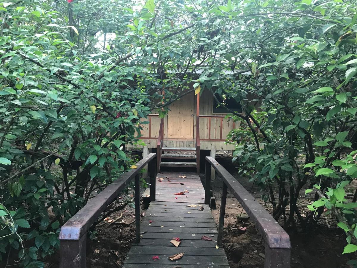 Sabalo Lodge Tours And Cabins Sierpe Εξωτερικό φωτογραφία