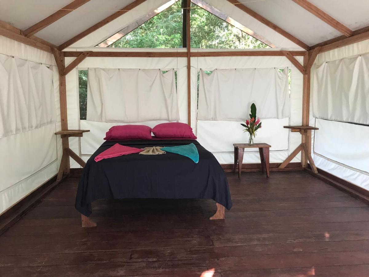 Sabalo Lodge Tours And Cabins Sierpe Εξωτερικό φωτογραφία