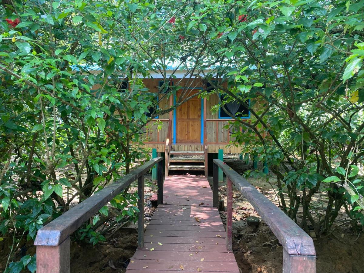 Sabalo Lodge Tours And Cabins Sierpe Εξωτερικό φωτογραφία