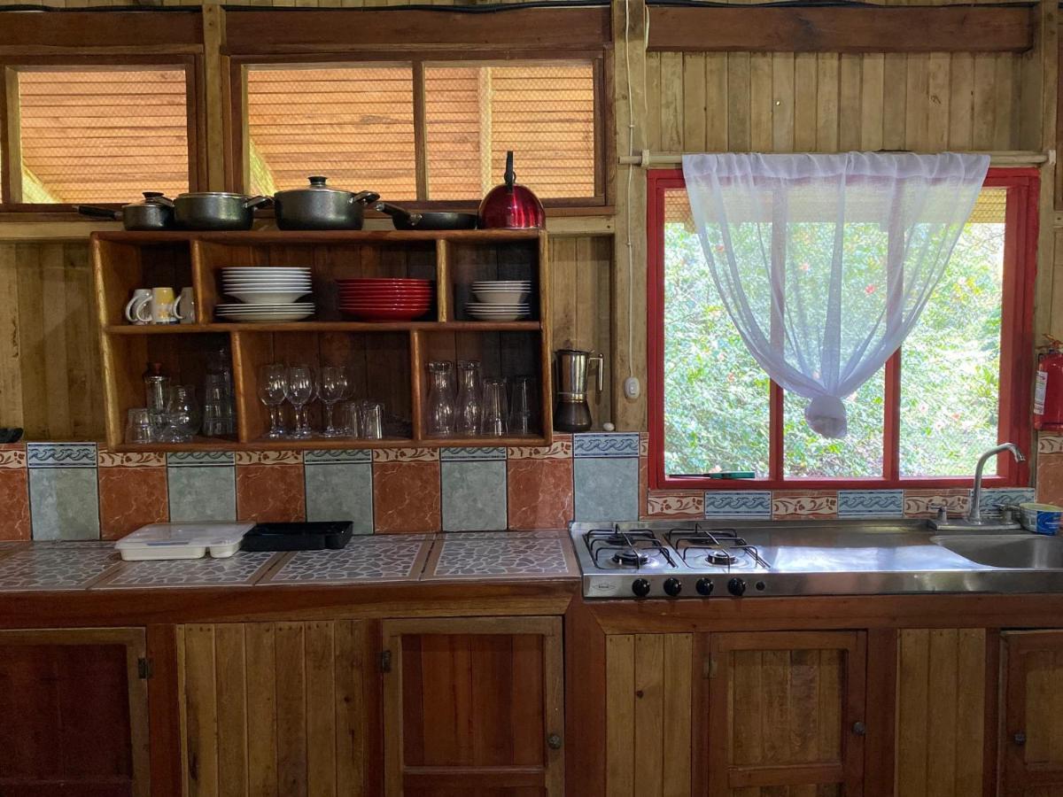 Sabalo Lodge Tours And Cabins Sierpe Εξωτερικό φωτογραφία