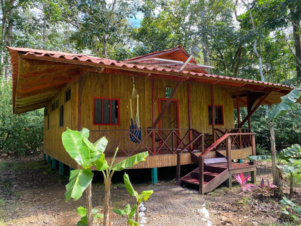 Sabalo Lodge Tours And Cabins Sierpe Εξωτερικό φωτογραφία