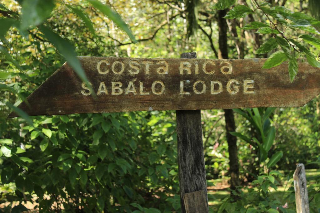 Sabalo Lodge Tours And Cabins Sierpe Εξωτερικό φωτογραφία