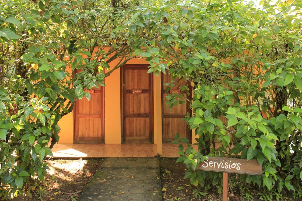 Sabalo Lodge Tours And Cabins Sierpe Εξωτερικό φωτογραφία