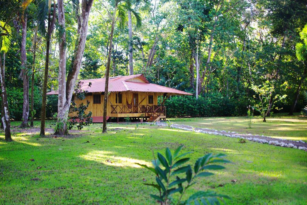 Sabalo Lodge Tours And Cabins Sierpe Δωμάτιο φωτογραφία