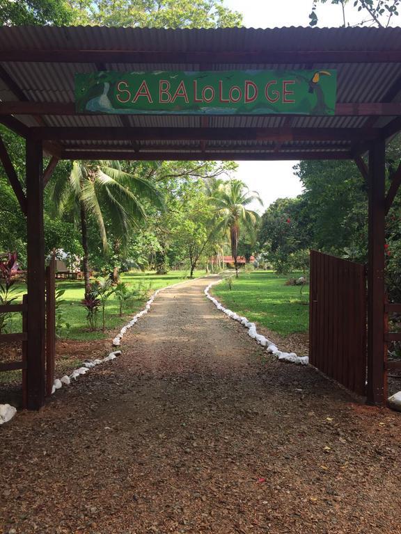 Sabalo Lodge Tours And Cabins Sierpe Εξωτερικό φωτογραφία